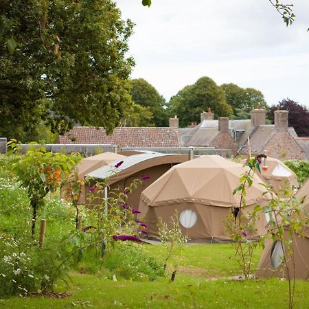 Durrell Wildlife Camp Hotel Trinity Exterior photo