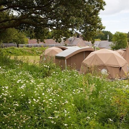 Durrell Wildlife Camp Hotel Trinity Room photo